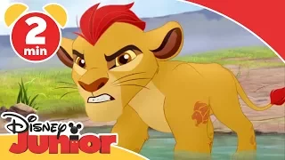 Løvenes garde | På safari med Kion - Disney Junior Norge