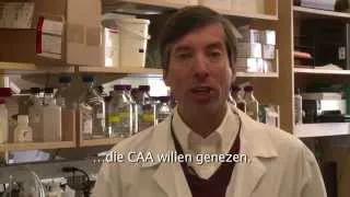 Professor Steven Greenberg about CAA research