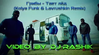 Грибы - Тает лёд (Kolya Funk & Lavrushkin Radio Remix)(Video by DJ Rashik )