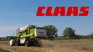 [2023] Claas Dominator 106 *harvest in hungary*