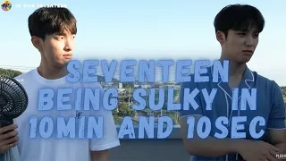 COMPILATION OF SEVENTEEN BEING SULKY😂 THEY ARE SO CUTE!!!