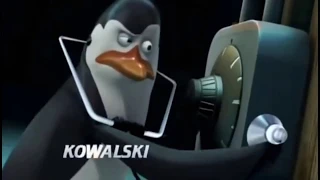 Penguins of Madagascar - Celebrate