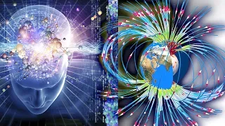 Human Brains can Navigate using Earth's Magnetic Field Discover Leading Neuroscientists - 2019