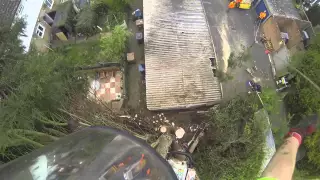 Arborist T&R Trees Remove Conifer in a tight gap