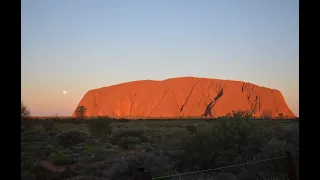 Great Southern Land