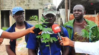 ZIGUINCHOR / OBJECTIF REBOISEMENT : "REDONNER GRATUITEMENT LES FRUITS D'ANTAN AUX POPULATIONS"