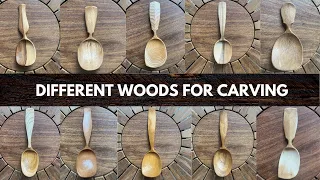 Wood Varieties For Spoon Carving - Deborah Schneebeli Morrell