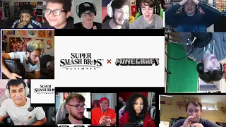 Minecraft Steve In Smash Ultimate Reaction Mashup