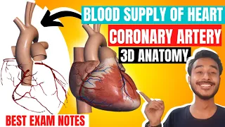Coronary artery anatomy | Artery supply of heart anatomy | Blood supply of heart anatomy in hindi