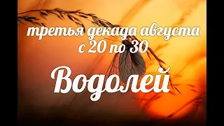 ♒ВОДОЛЕЙ с 20-30 августа 2021. Таро-Гороскоп Водолей/Taro_Horoscope Aquarius/Spring.