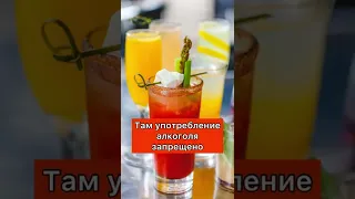 Кровавая Мэри 🍷 Легендарный коктейль