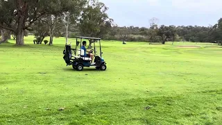 Mobility Kings 2 seater golf cart