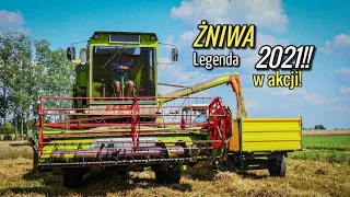 ☆Żniwa 2021 ☆Włademirec T-25&Claas Mercator 60☆ThePodlasieTeam☆