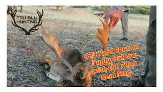 Long Range Shot On Trophy Fallow Buck | Watervalley Station