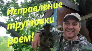 ✅Семья трутовка исправляю с помощью роя! Первый рой пойман, пересадка в улей!