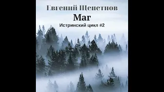 Евгений Щепетнов – Маг. [Аудиокнига]