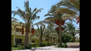 Palm Beach Resort Hurghada