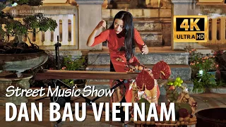 Dan Bau - Vietnamese Musical Instruments and Traditional