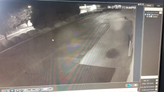 Attempted pharmacy break-in