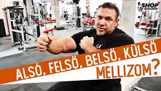 Alsó, felső, belső, külső mellizom?