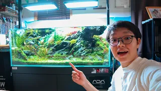 BEAUTIFUL IWAGUMI AQUASCAPED AQUARIUM - IAPLC 2020 Rank 118