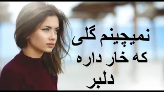 آهنگ زیبای ایرانی - نمیچینم گلی که خار داره دلبر / irani nice song
