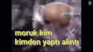 ALİEN MEME for 10 Hours - Patlamaya Devam - Инопланетянен песня harmanim baba nerde çarşafim