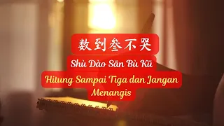 Shù Dào Sān Bù Kū《数到叁不哭》【Lagu Mandarin】- Hu Xia 胡夏 [SubIndo/Pinyin Lyric & terjemahan]