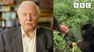 The Impact of David Attenborough and the Natural History Unit | 100 Years of the BBC