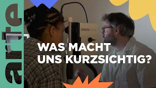 Die Welt wird immer kurzsichtiger | ARTE Family