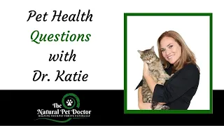 Dog and Cat Health Questions - Food Sensitivities with Dr. Katie The Natural Pet Doctor