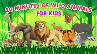 Animals for Kids | 20 Minutes of Wild Animals Sounds