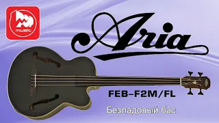 [Eng Sub] Aria FEB F2M/FL fretless electric acoustic bass