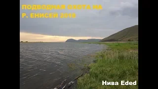 Подводная охота на р. Енисей 2018 "Охота на сазана"