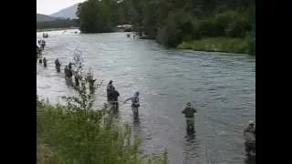 Combat Fishing for Sockeye Salmon on Russian - Kenai River