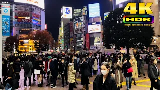 【4K HDR】Night Walk in Tokyo Shibuya - Japan Walking Tour 東京散歩