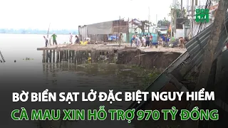 Bờ biển sạt lở đặc biệt nguy hiểm, Cà Mau xin hỗ trợ 970 tỷ đồng | VTC14