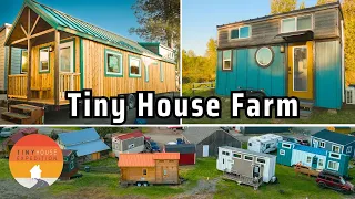 Couple's Amazing Tiny House World - Building, Advocacy & Tiny Hotel!