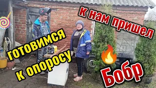 Готовимся к опросу.Индюшата растут.Бобр пришел в гости #деревнянапозитиве #деревня