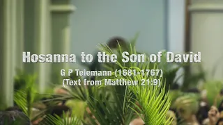 'Hosanna to the Son of David' by G P Telemann - Anthem at Eucharist by St. Augustine's Chapel Choir
