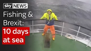 Spending 10 days at sea to learn about fishing and Brexit