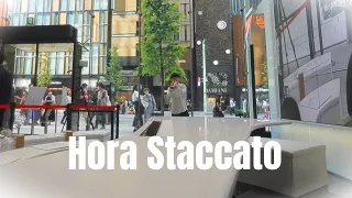 Hora staccato/ホラ・スタッカート