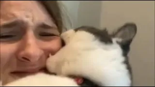 CATS ATTACKING PEOPLE COMPILATION !! Must watch 2021