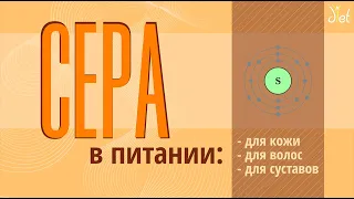 Сера в питании: для суставов, волос и кожи. И не только.