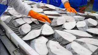 Halibut Fish Steak mass production factory, Steamed fish steak / 大比目魚排量產工廠, 清蒸比目魚排 - Taiwanese Food