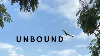 Aditya Garud | Unbound | Kathak | Impromptu movement exploration |