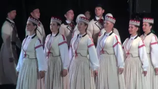 00096 Teiksma. VIII Starptautiskā tautas deju festivāla Sudmaliņas atklāšana lielkoncerts 2.07.2016