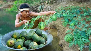 survival in the rainforest - Find fish meet watermelons Near the River