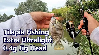 Fishing TILAPIA in Extra Ultralight (XUL)/ Super Ultralight / BFS fishing 🎣 EN Subs