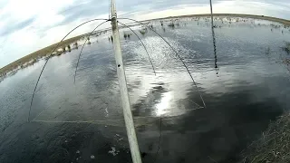 LIFT NET FISHING - the size matters